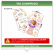 TAG - ESPECIAL - 250G - VTF - FRENTE E VERSO