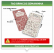 TAG - ESPECIAL - 250G - VTF - FRENTE E VERSO